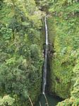 Lower Puohokamoa Falls (Hana Hwy, 10 m/m)
